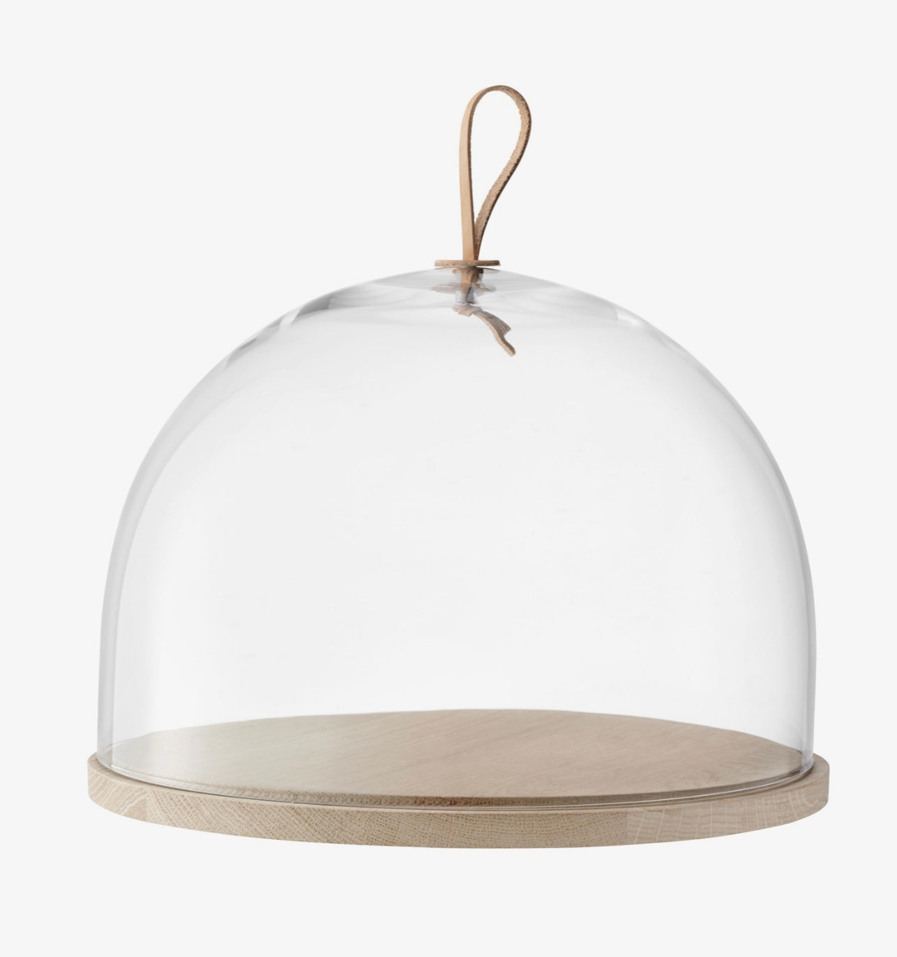 Ivalo Dome & Ash Base
