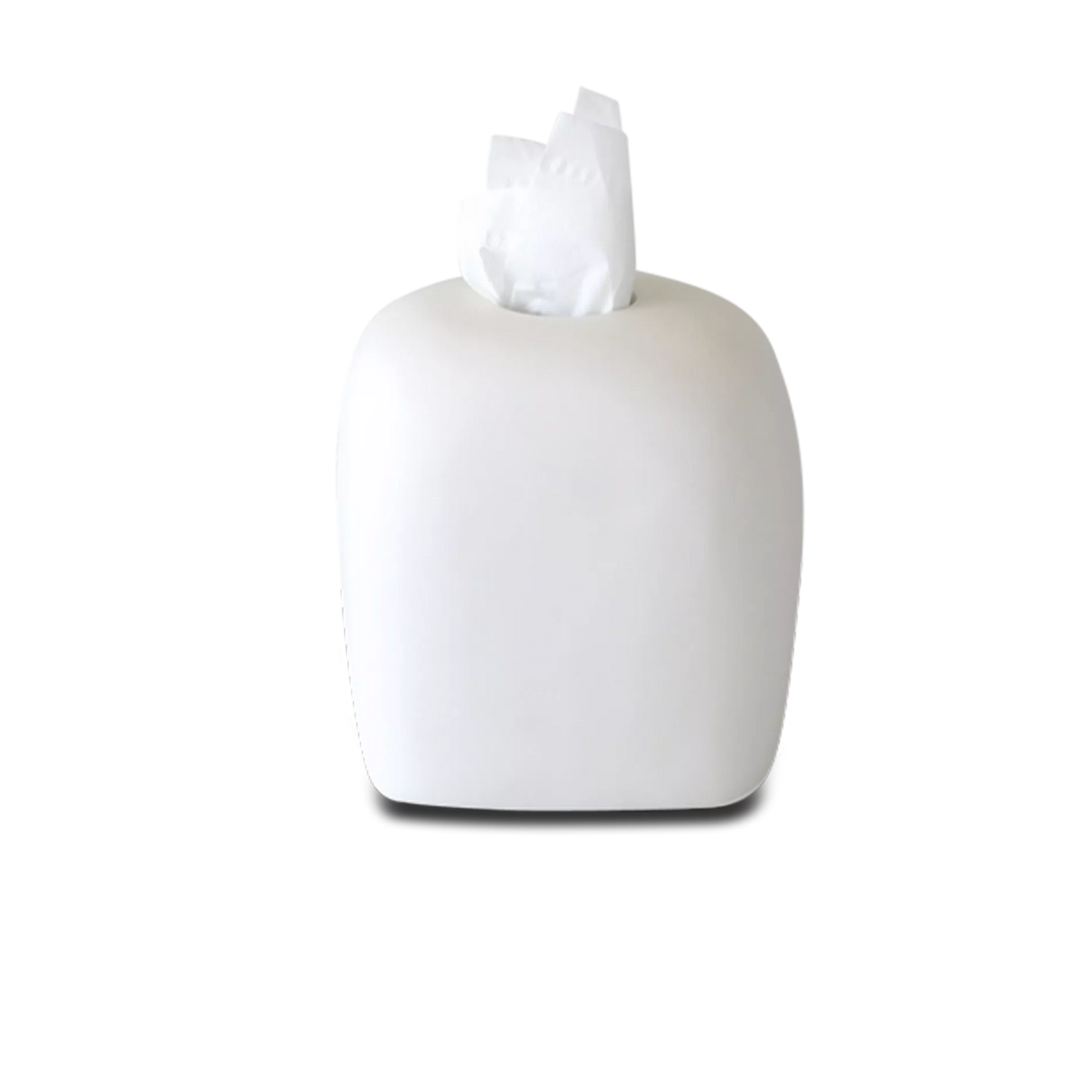 ARC Tissue Box Holder