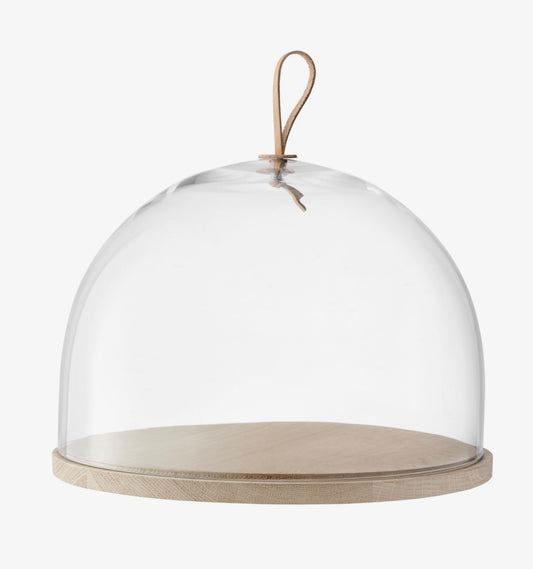 Ivalo Dome & Ash Base