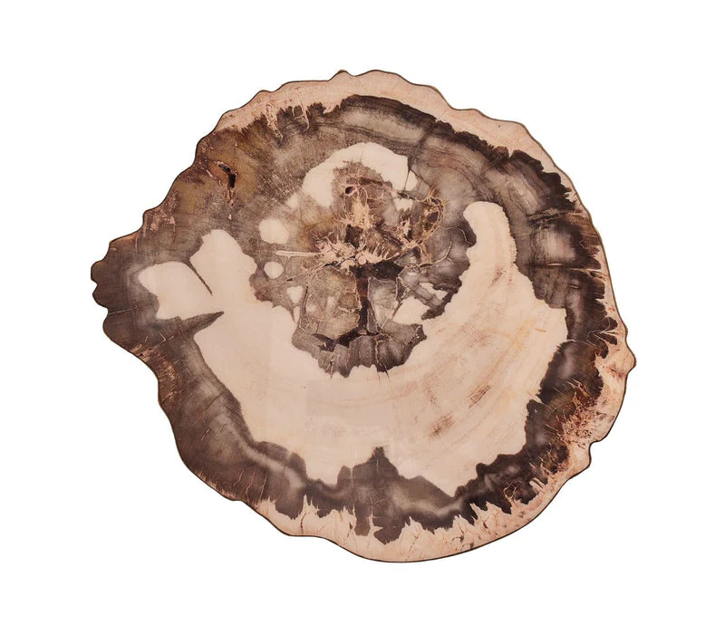 Petrified Wood Placemat in Natural & Brown, Set of 4